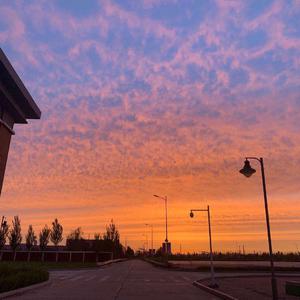 尤酸乳最新版本更新内容
